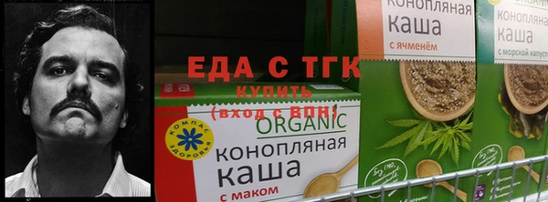 амф Богданович