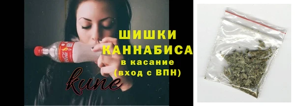 амф Богданович