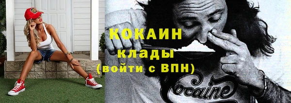 амф Богданович