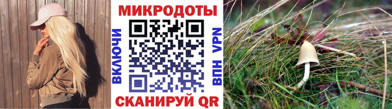 Купить закладки  Черняховск  Псилоцибиновые грибы ЛСД 