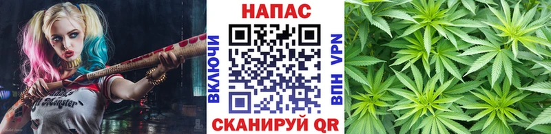 Купить  Черняховск  Конопля Bruce Banner 